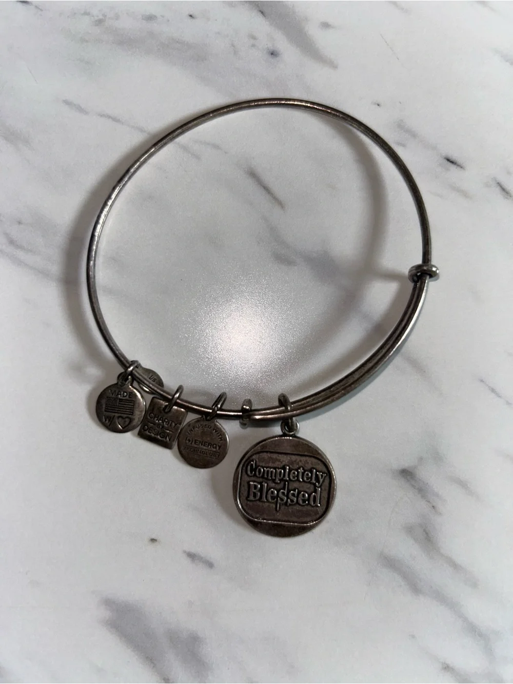Alex and Ani Silver 'Completely Blessed' Charm Bangle Bracelet